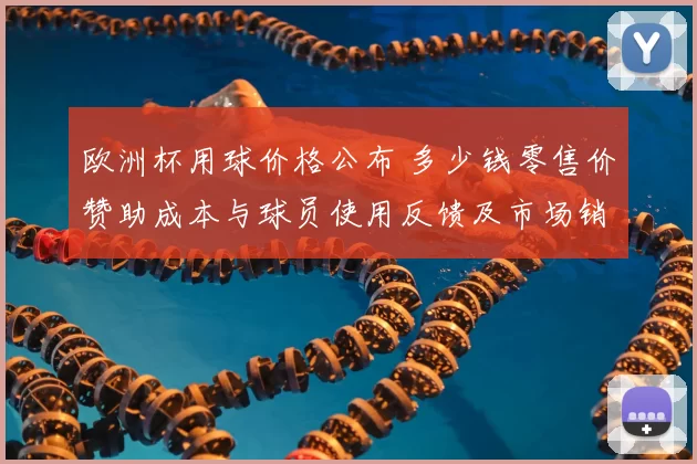 欧洲杯用球价格公布 多少钱零售价赞助成本与球员使用反馈及市场销售预期