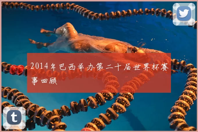 2014年巴西举办第二十届世界杯赛事回顾