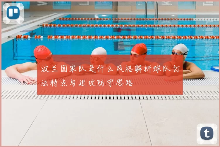 波兰国家队是什么风格解析球队打法特点与进攻防守思路