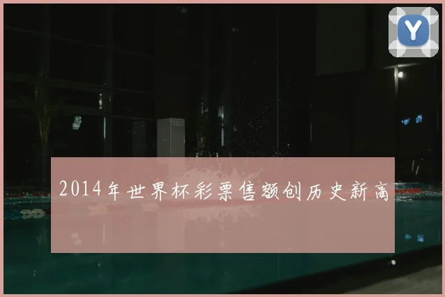2014年世界杯彩票售额创历史新高