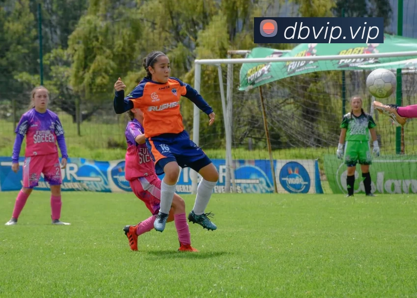 九游官方登录入口全站App